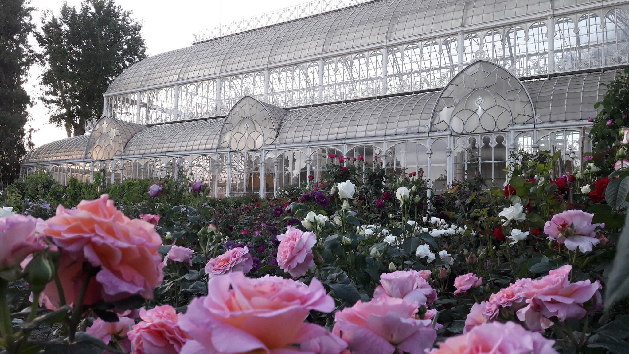 giardino di orticultura- tepidarium