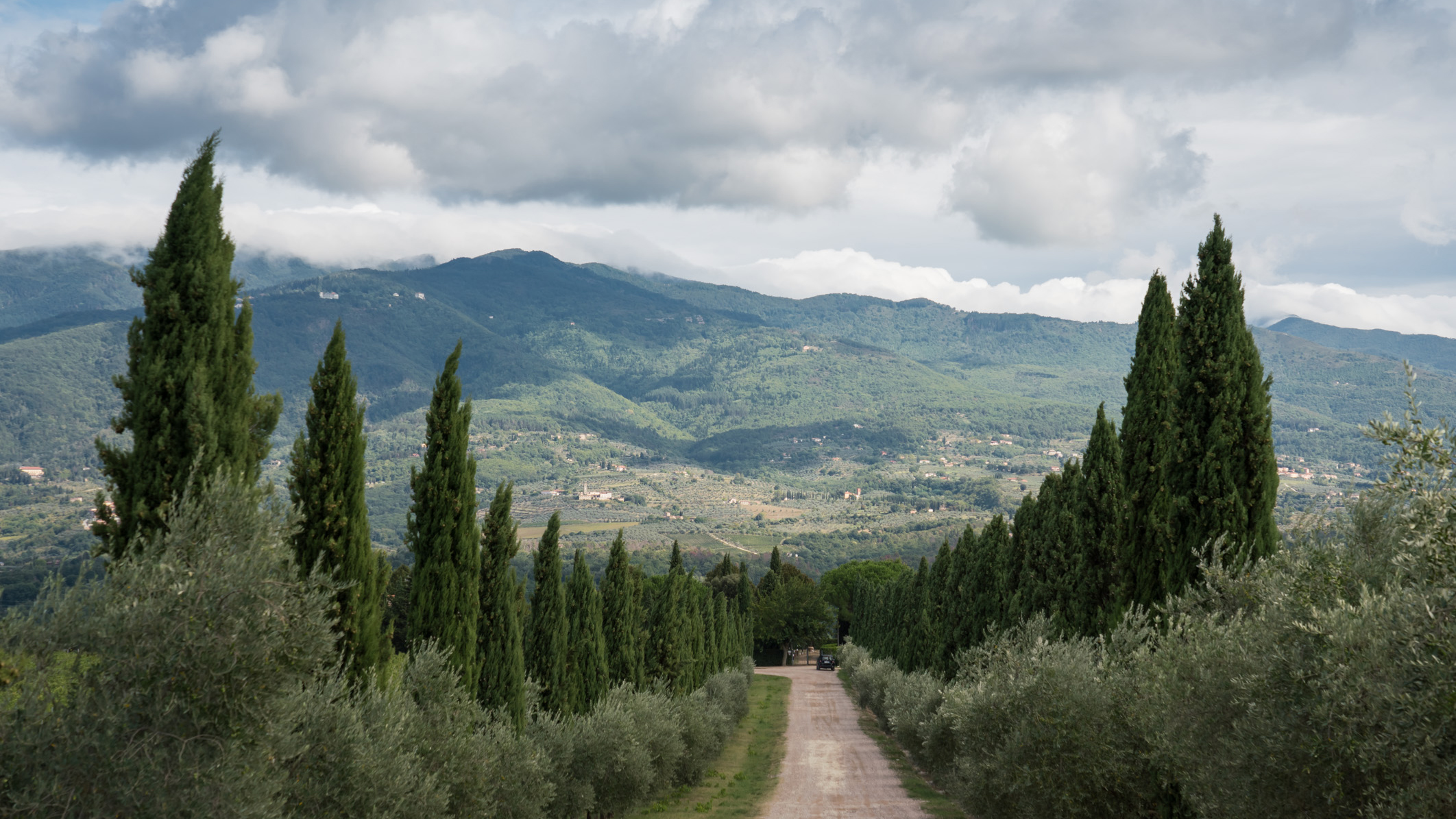  Paesaggio Grande Firenze