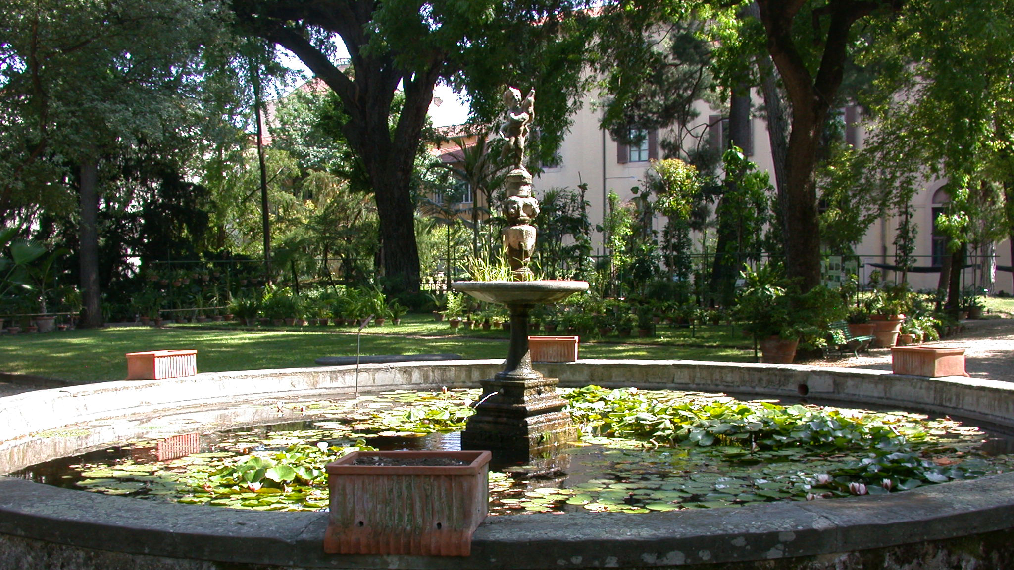 Museo di Storia Naturale dell'Università di Firenze - Orto Botanico, Giardino dei Semplici