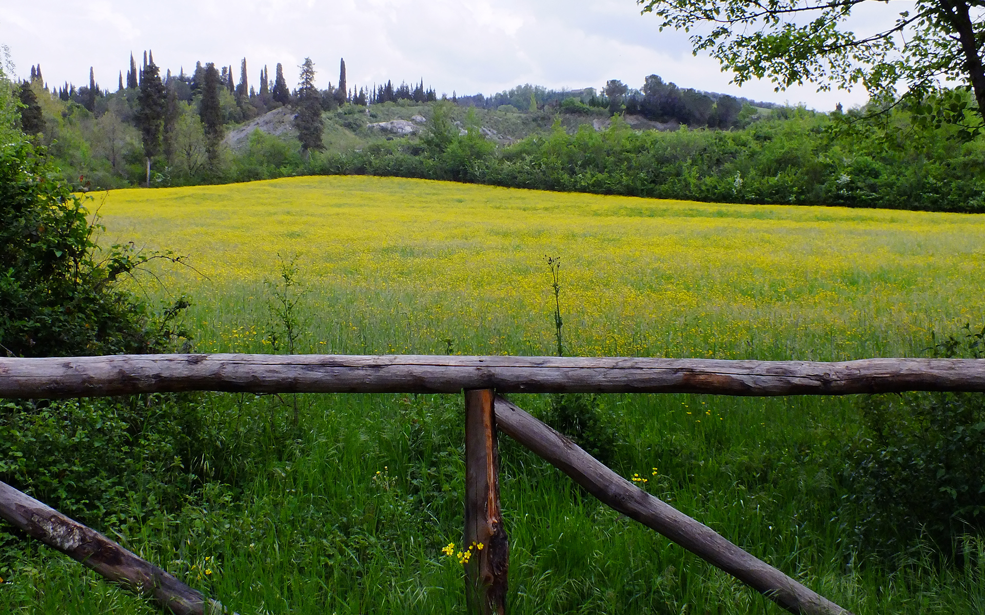 Parco di Mondeggi