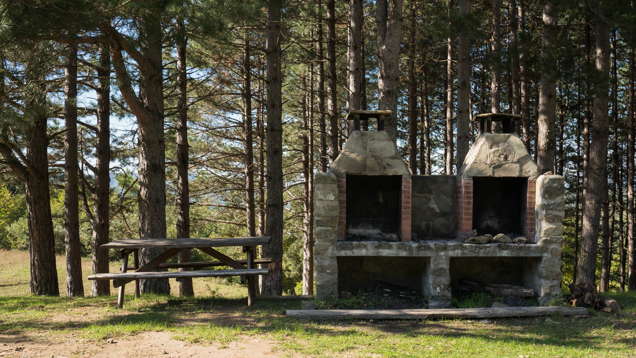 Parco Nazionale delle Foreste Casentinesi, Monte Falterona e Campigna