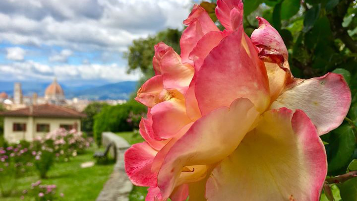 giardino delle rose