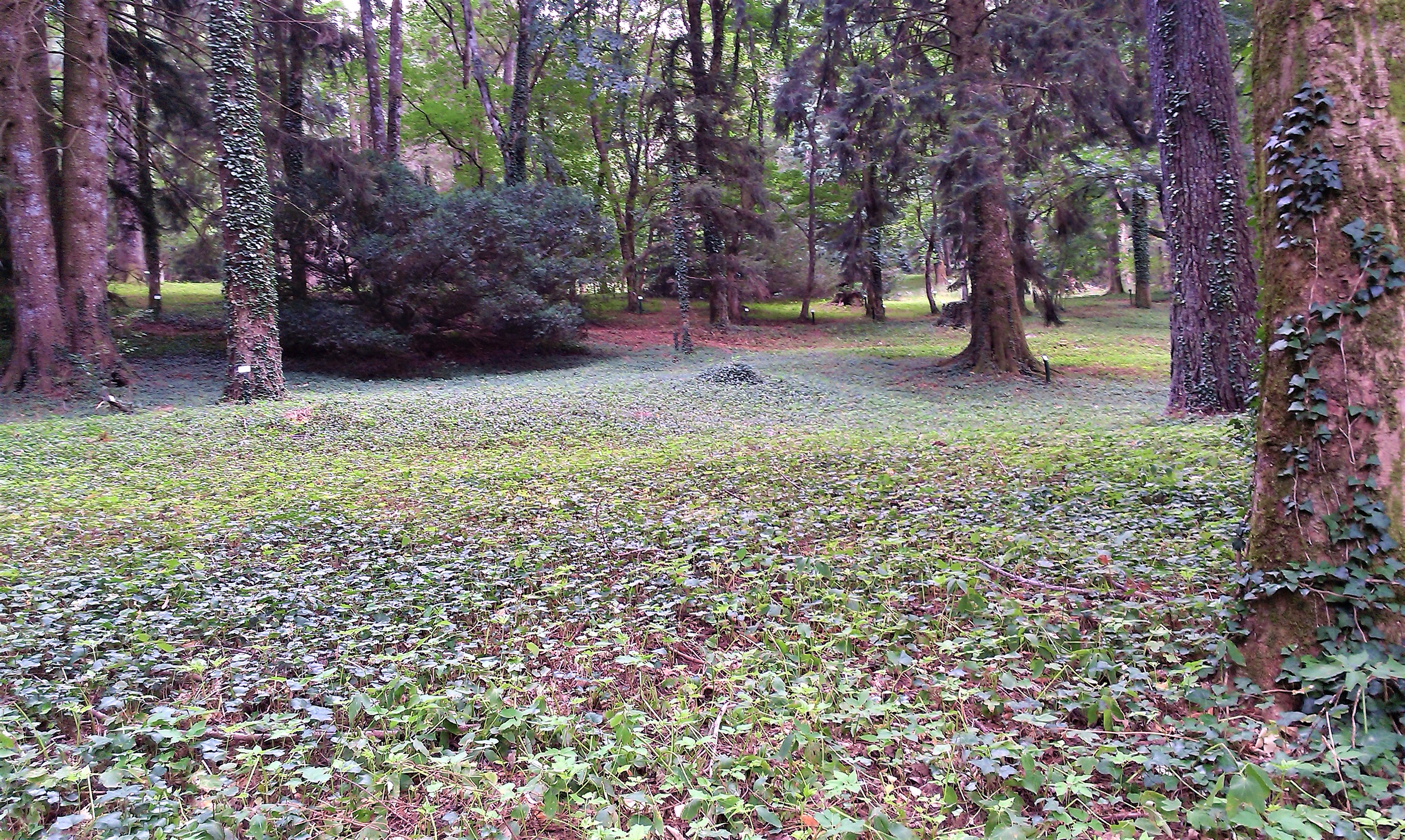 Arboreti Sperimentali di Vallombrosa 