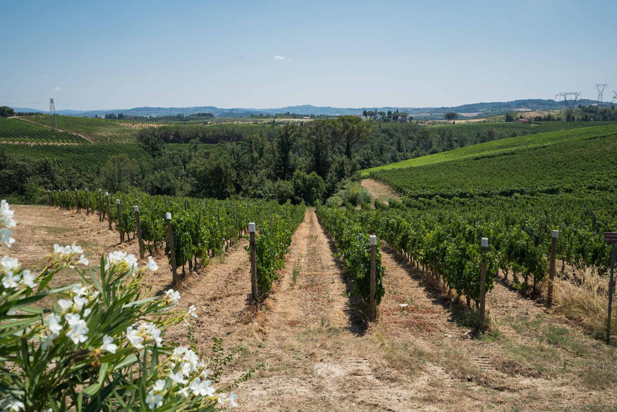 Da Malmantile alla Val di Pesa