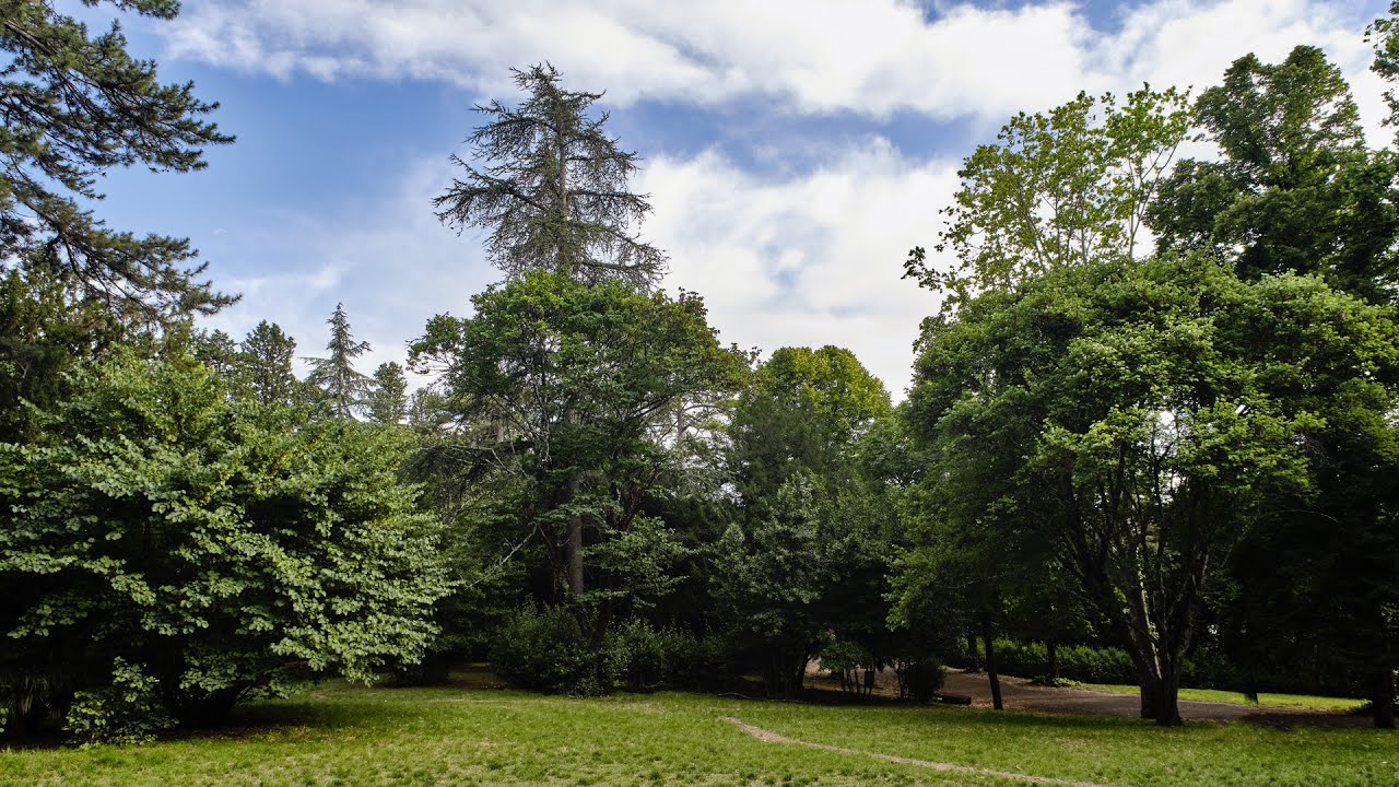 Parco di Villa Strozzi al Boschetto