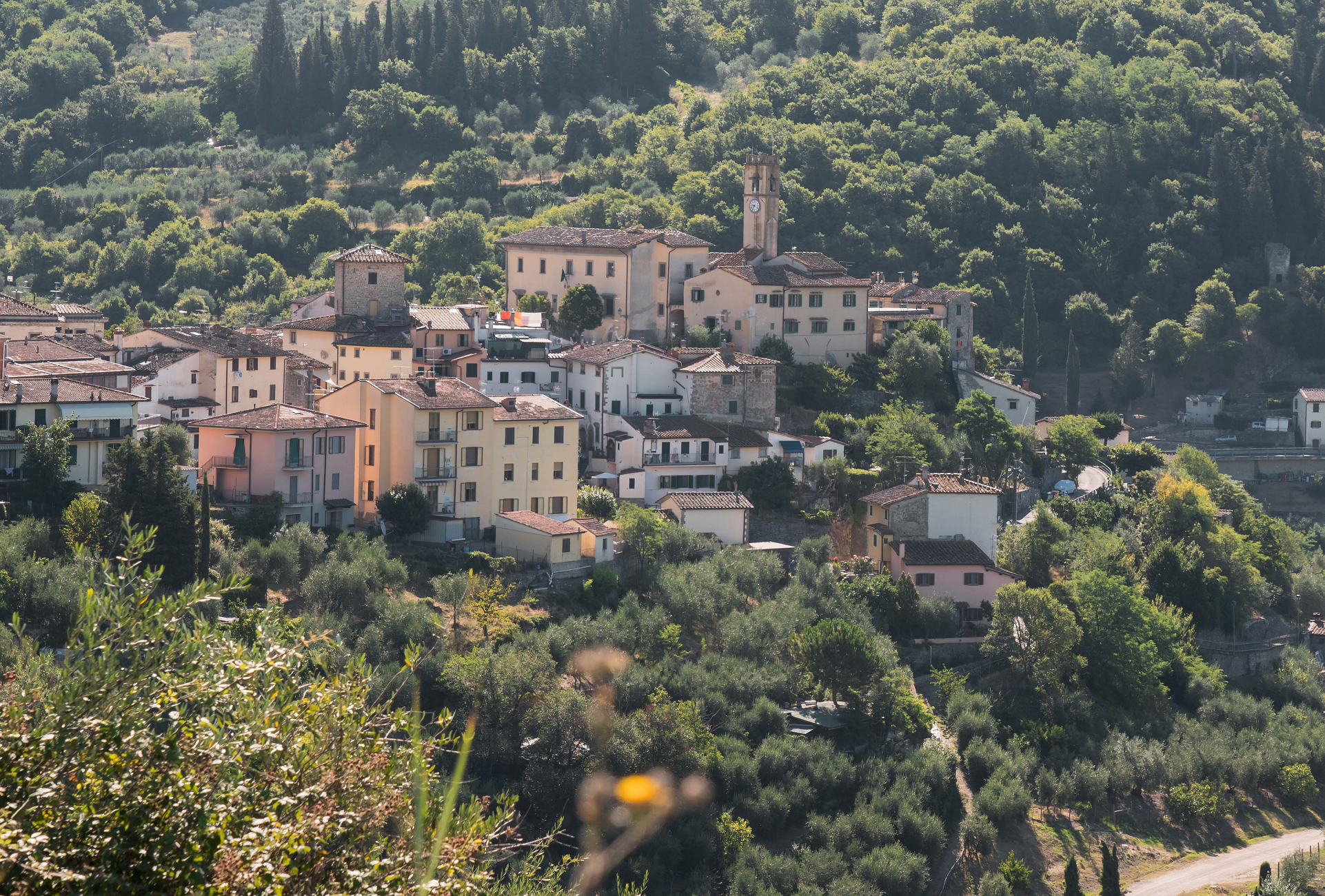 Panorama di Pelago