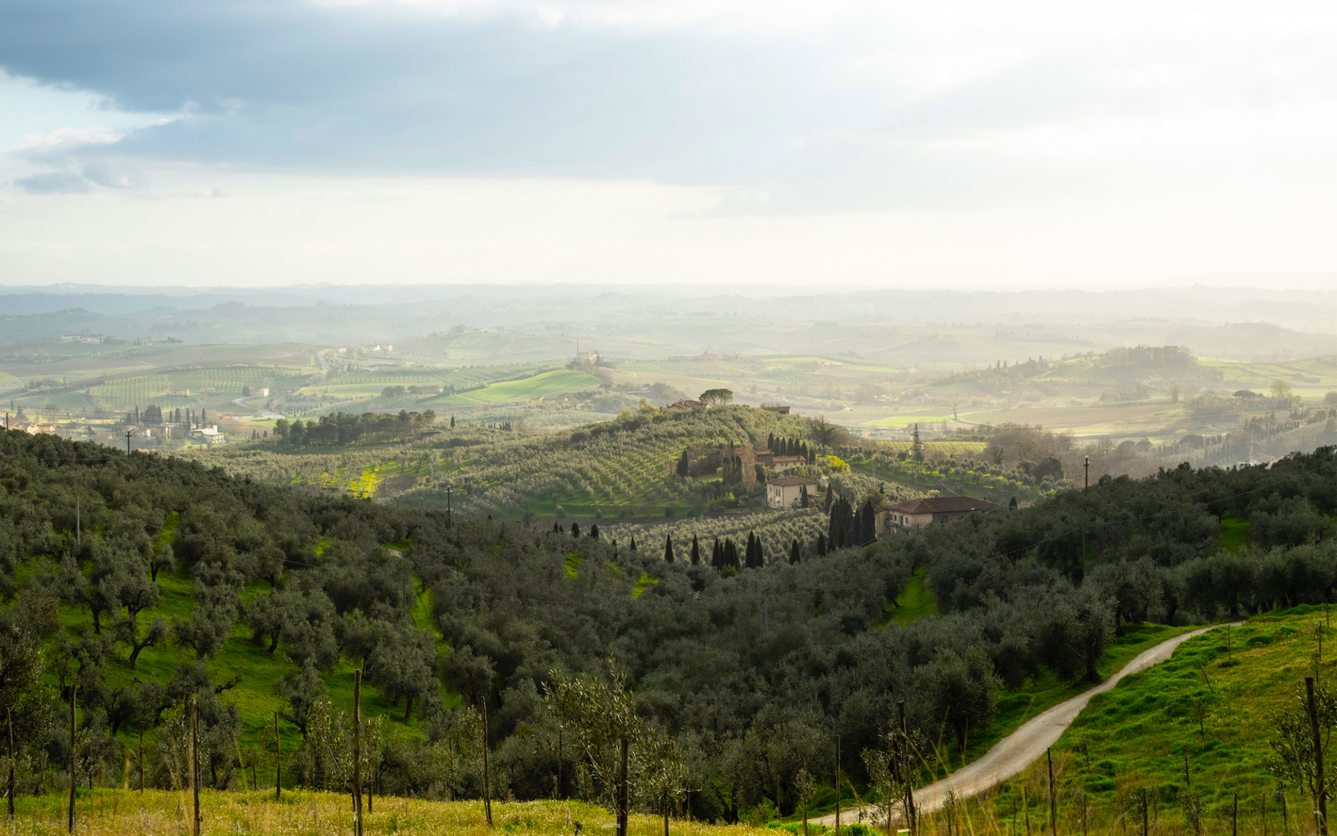 paesaggio vinci