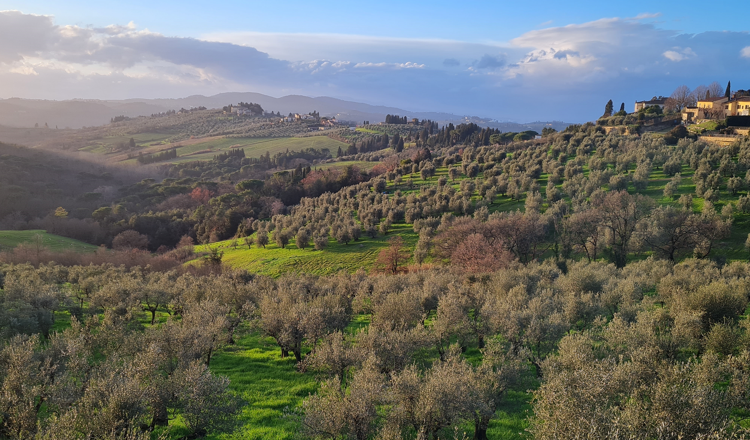 Impruneta veduta della campagna - Foto Comune di Impruneta