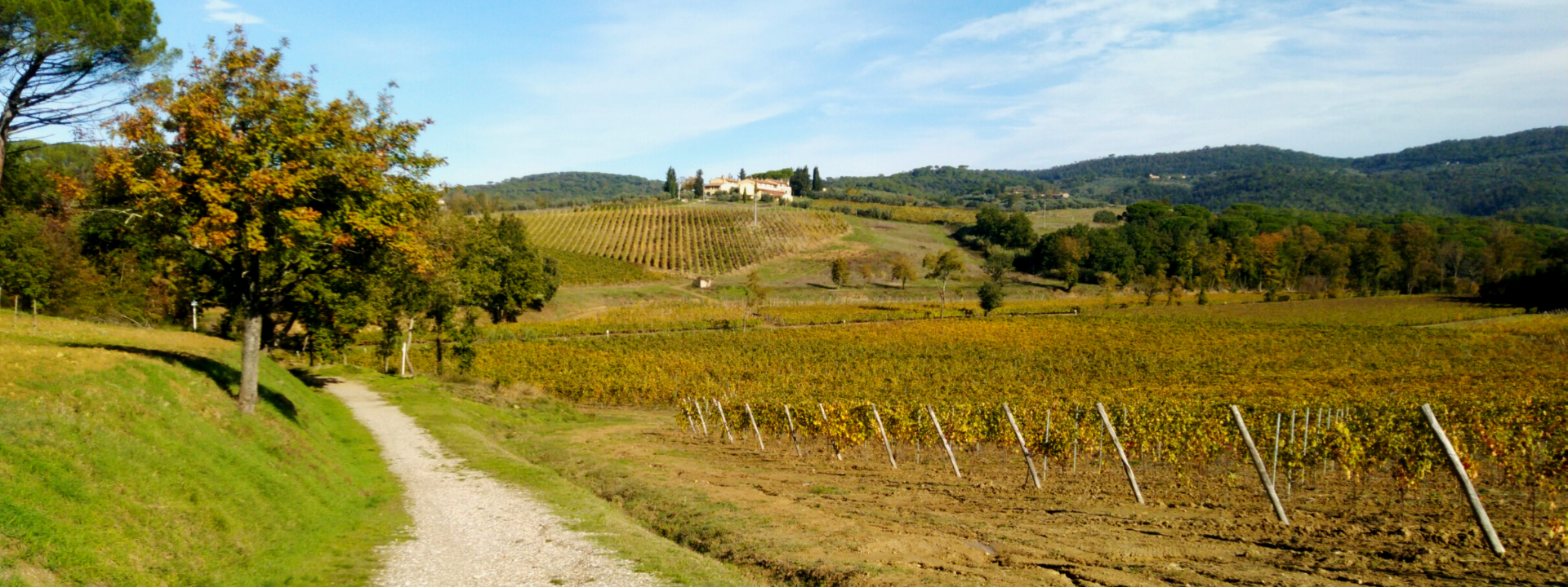 Fata Morgana, Mulinaccio, Chianti Fiorentino