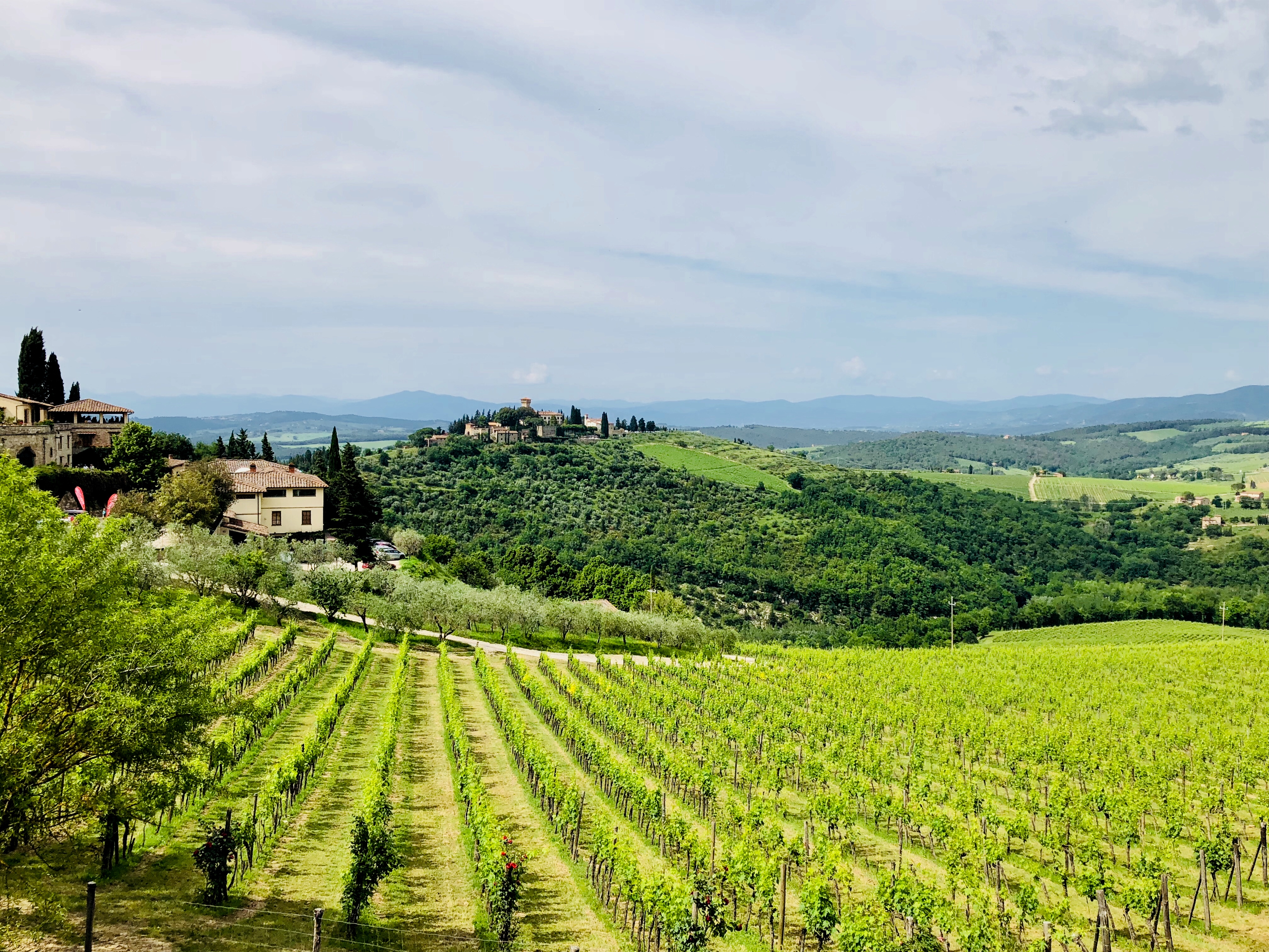 Panorama del Chianti dal Castello di Verrazzano