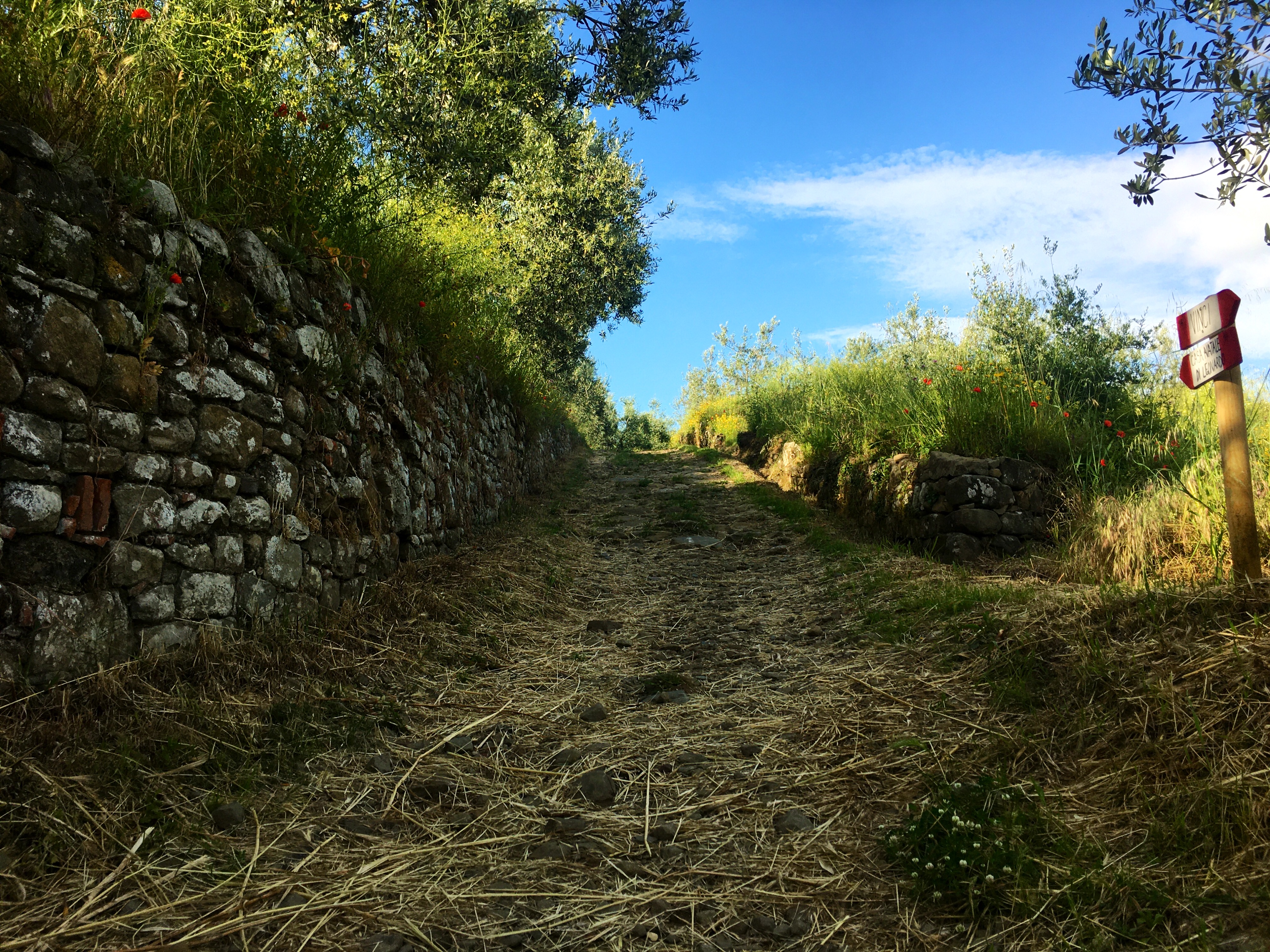 Tratto de La Strada Verde