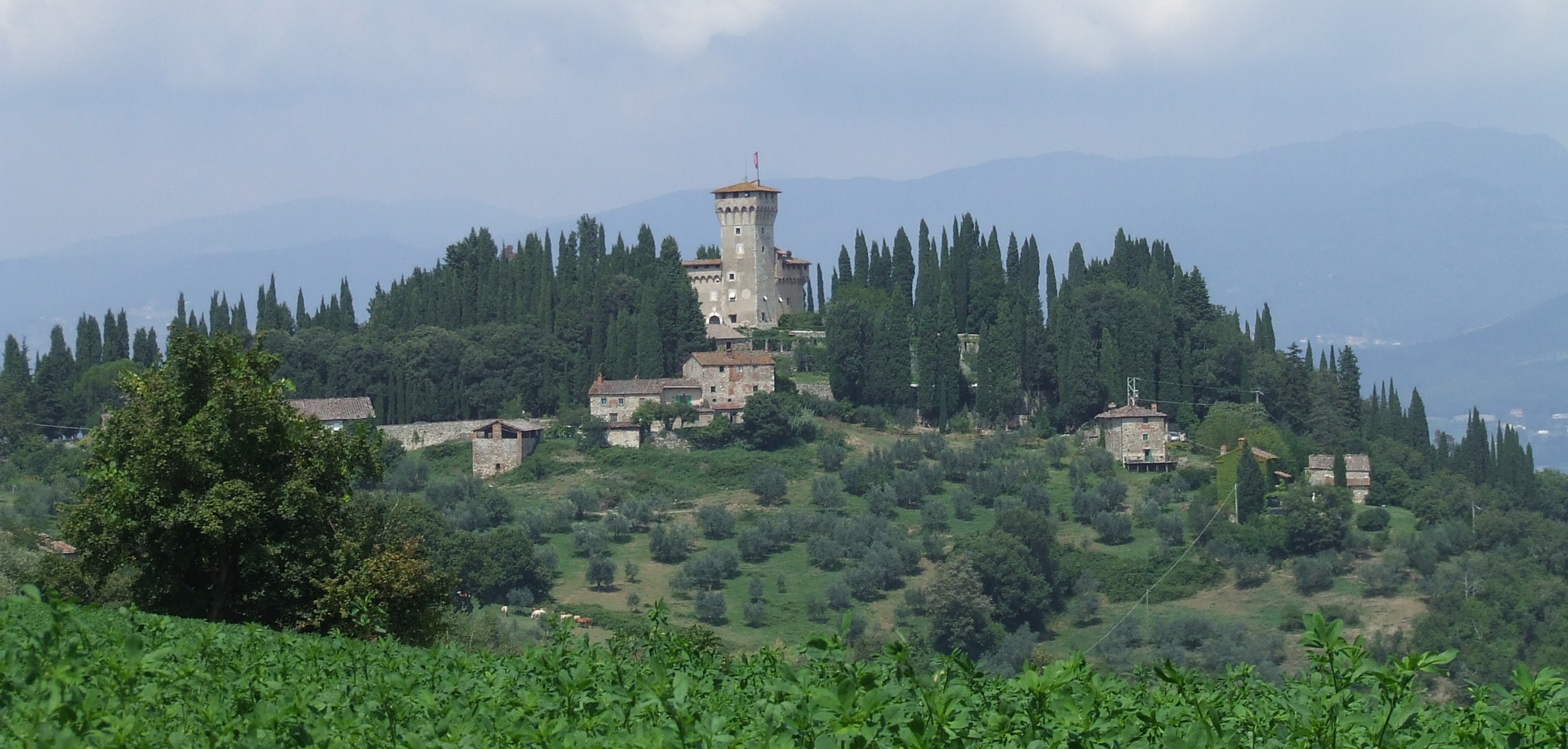 Castello del Trebbio, Mugello