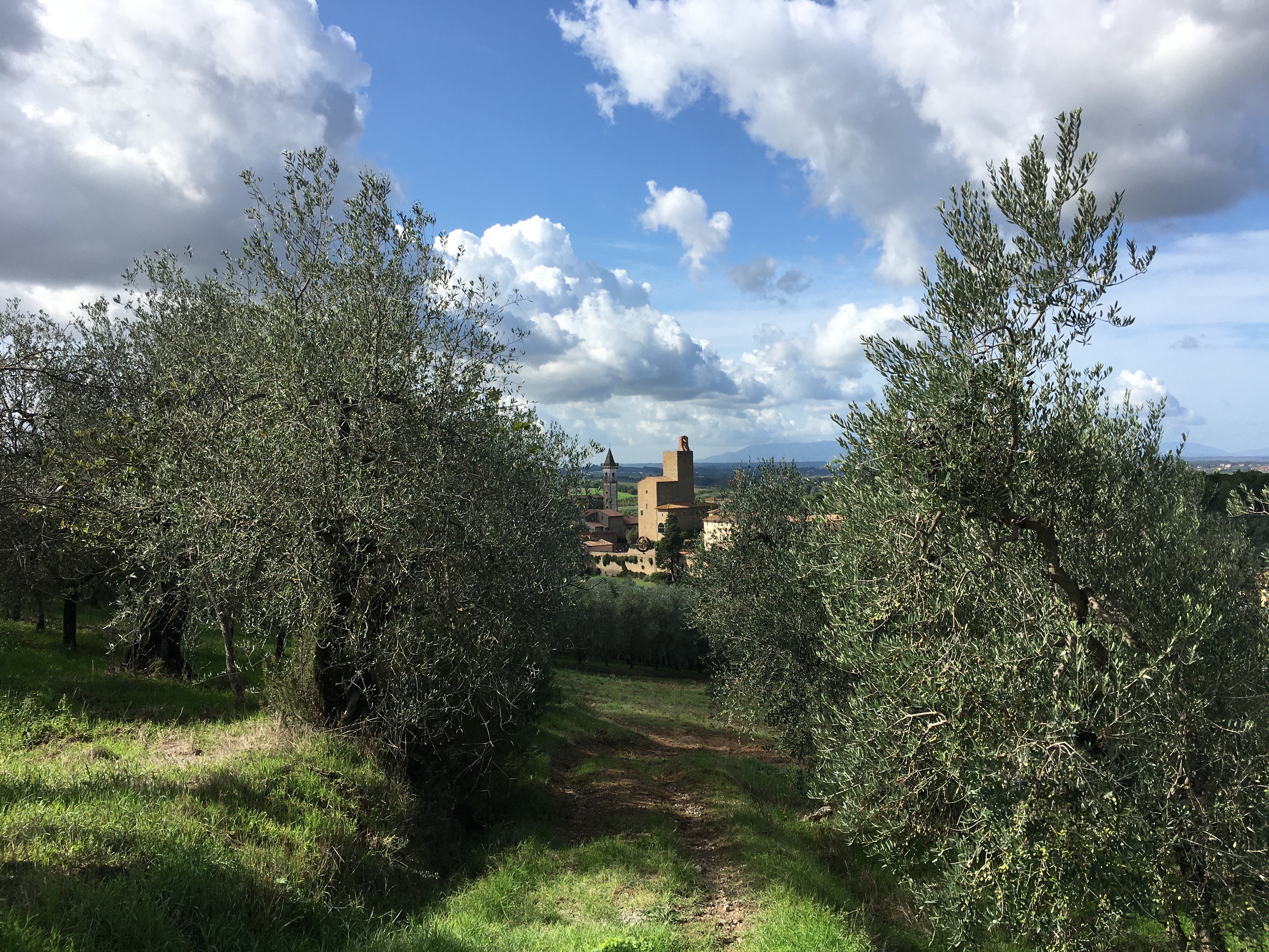 Vista dalla collina Poggio Marradino