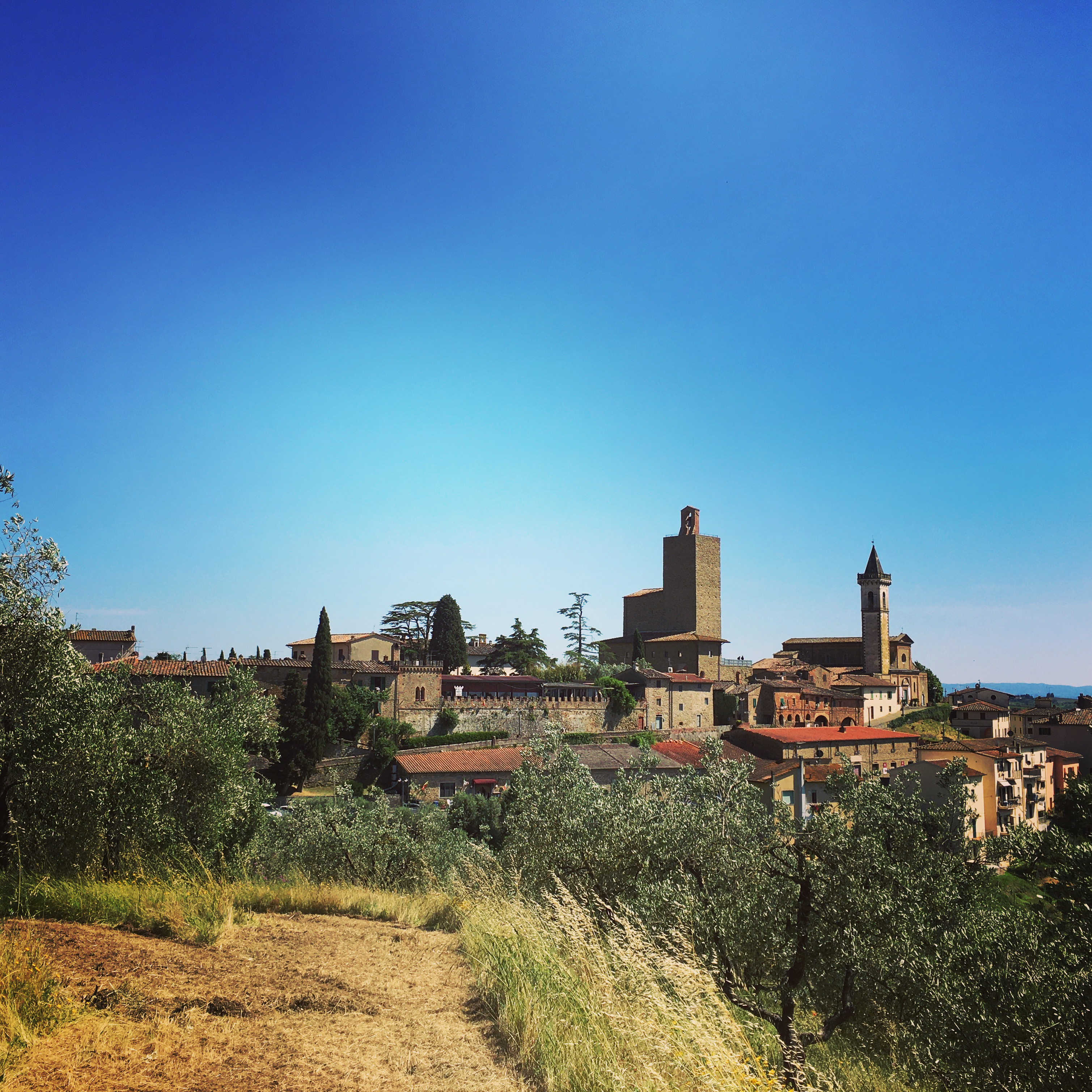 Vista dalla sommità del Poggio dello Zollaio