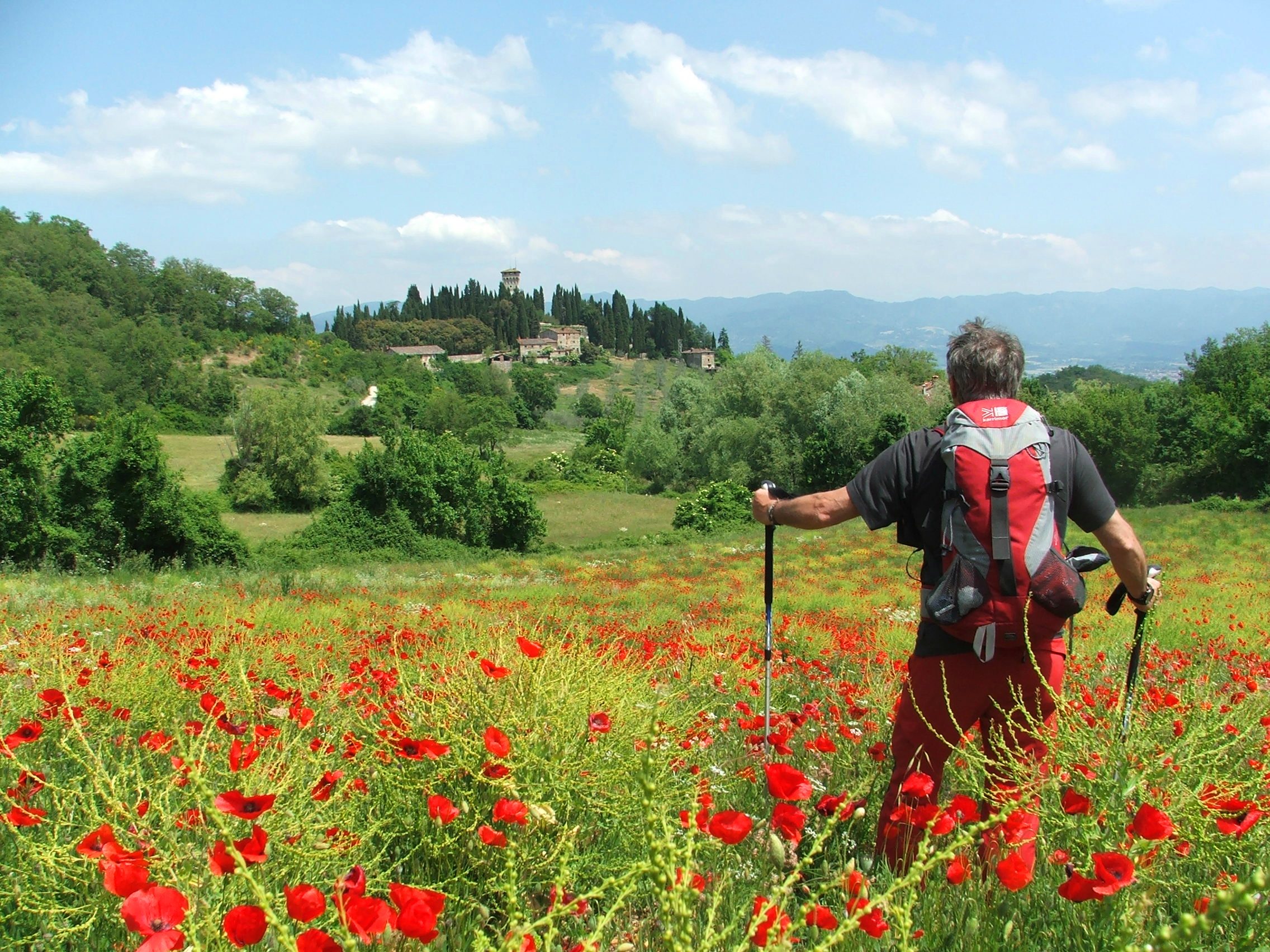 In vista del Trebbio