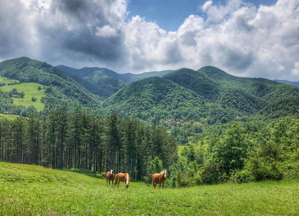 paesaggio appenninico