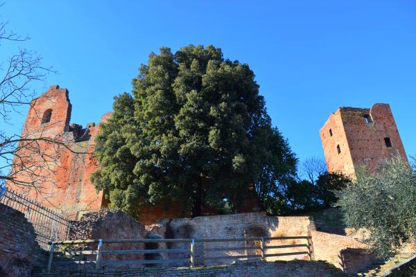 Parco Corsini