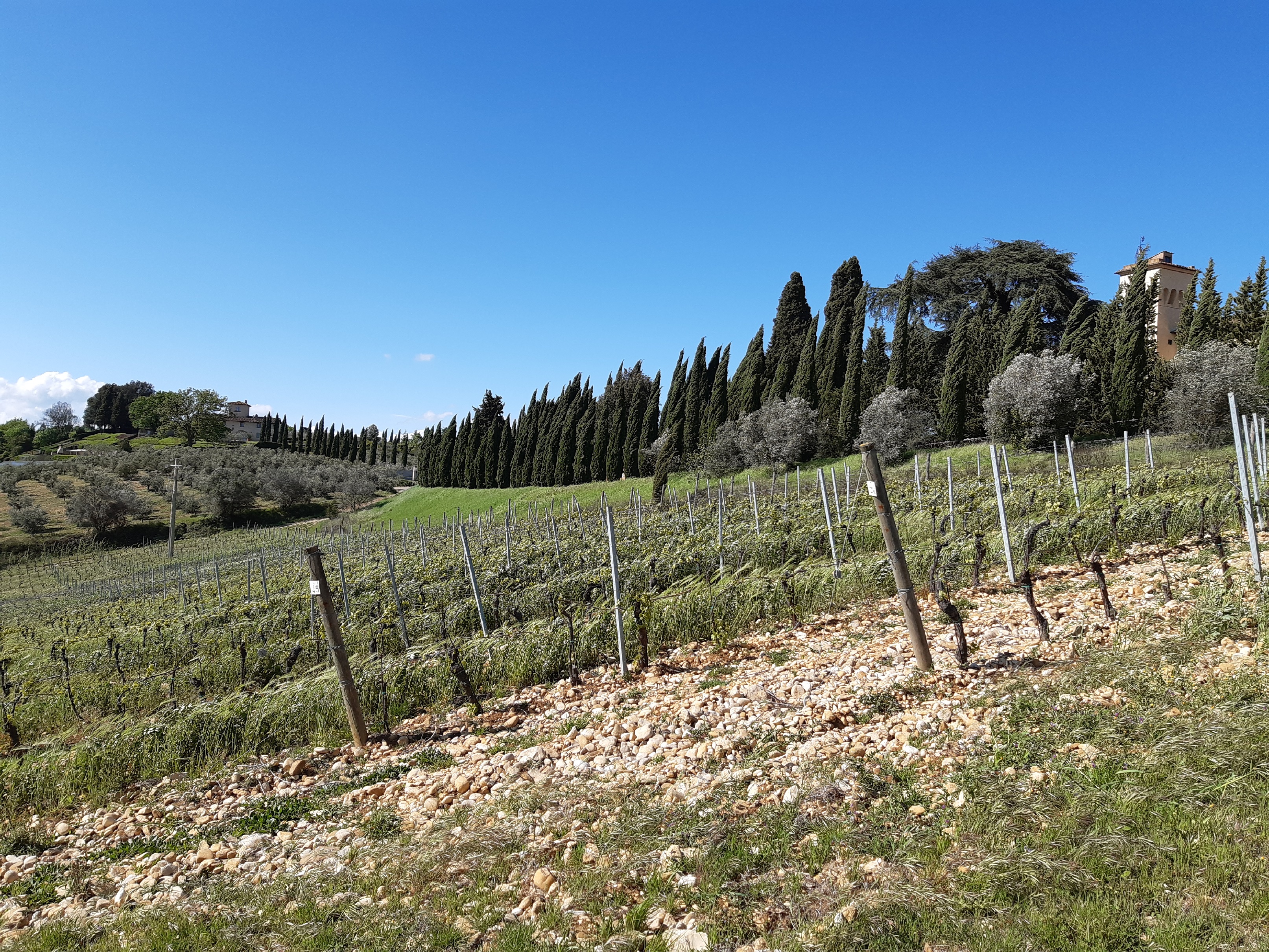 Campagna intorno a Babrerino Tavarnelle