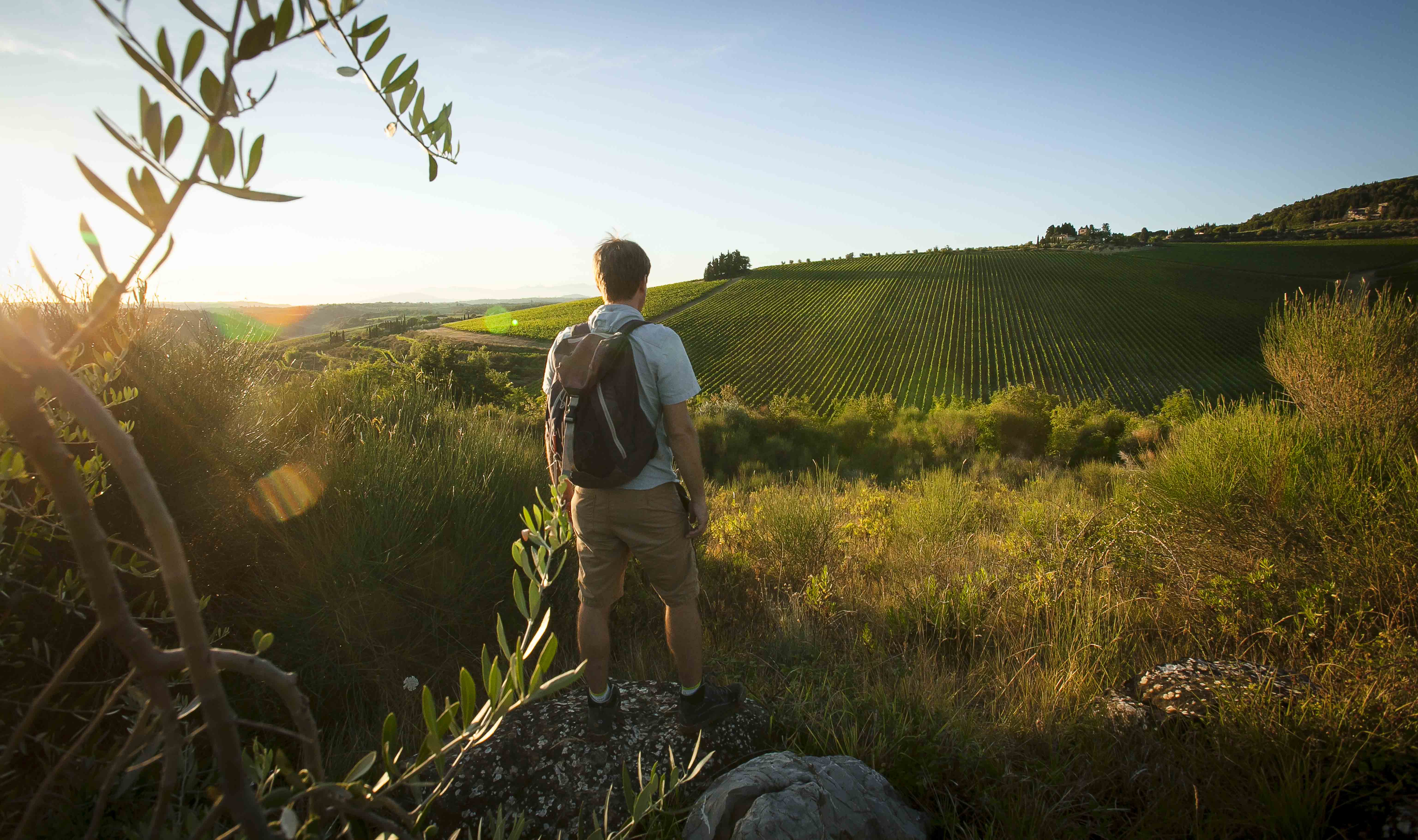 Trekking a Badia a Passignano - Foto Visit Chianti