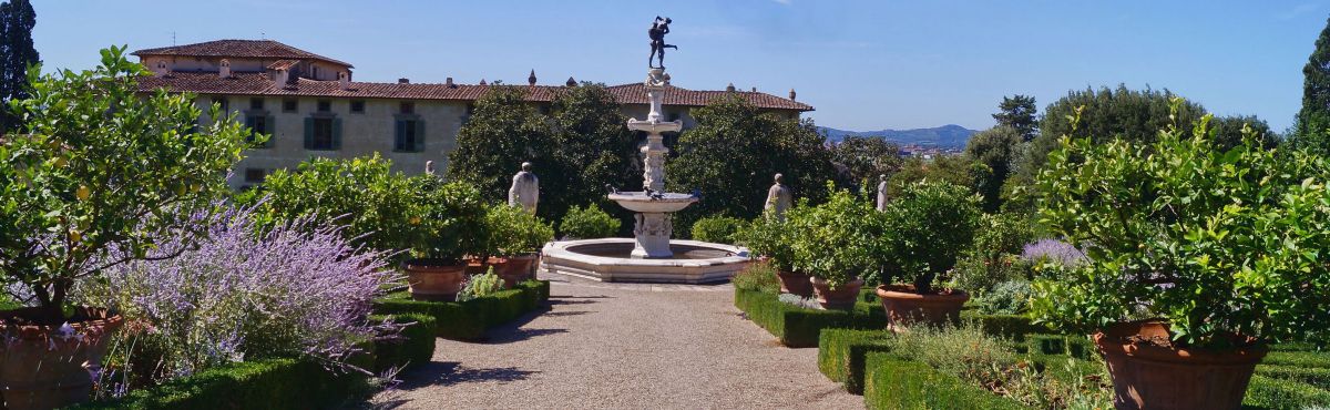 Castello wood and history
