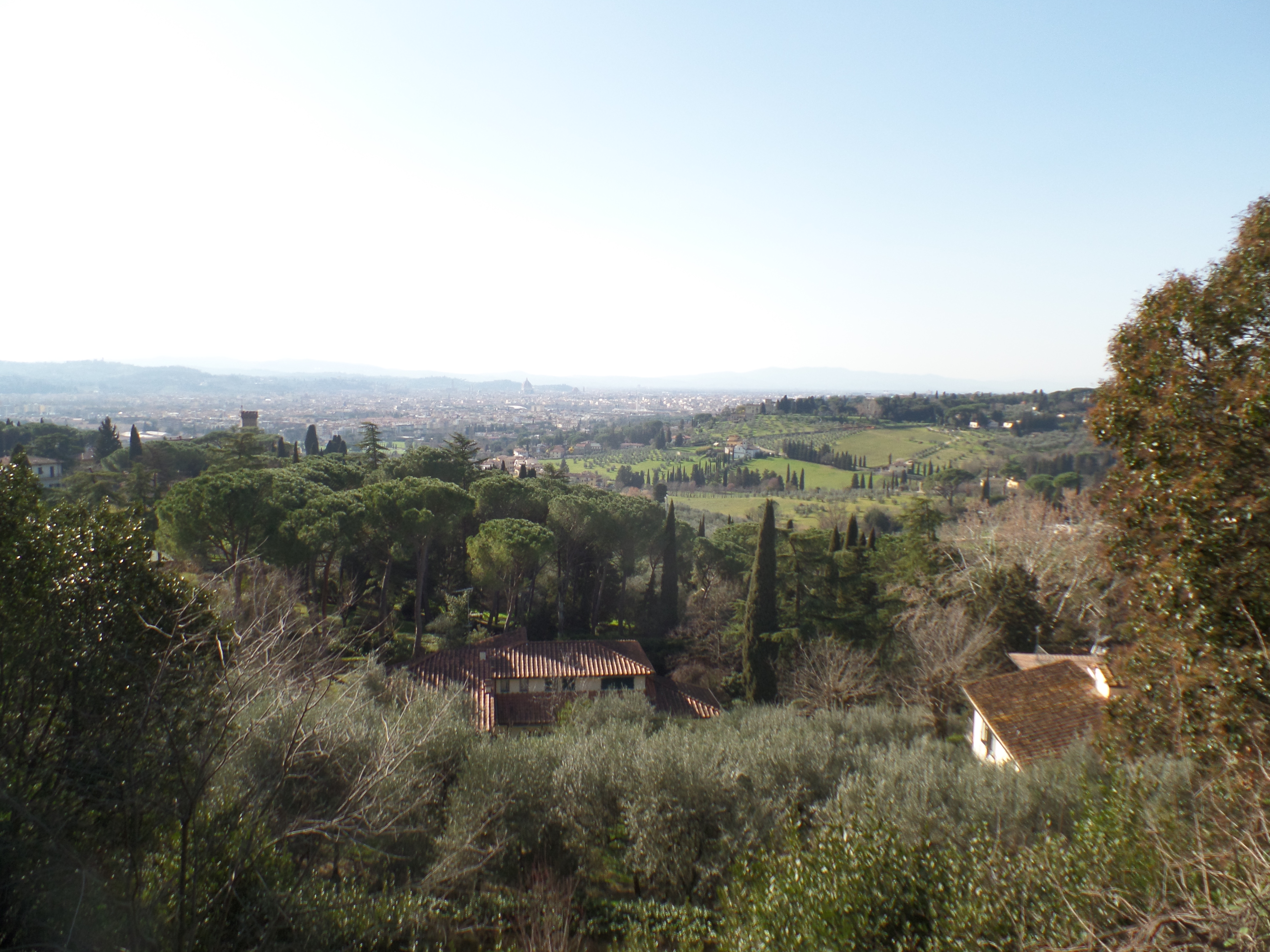 panorama