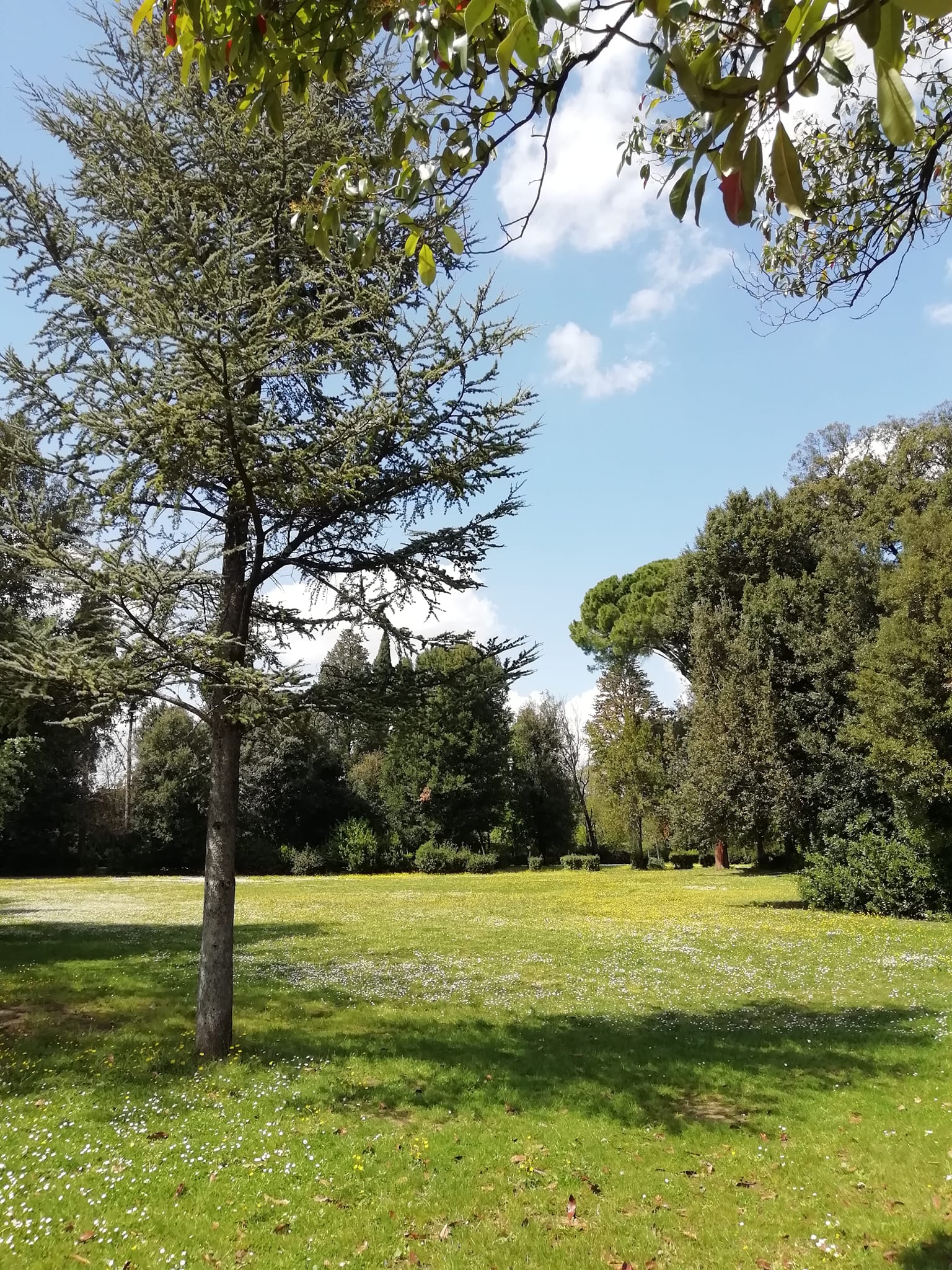 Parco di Villa Solaria