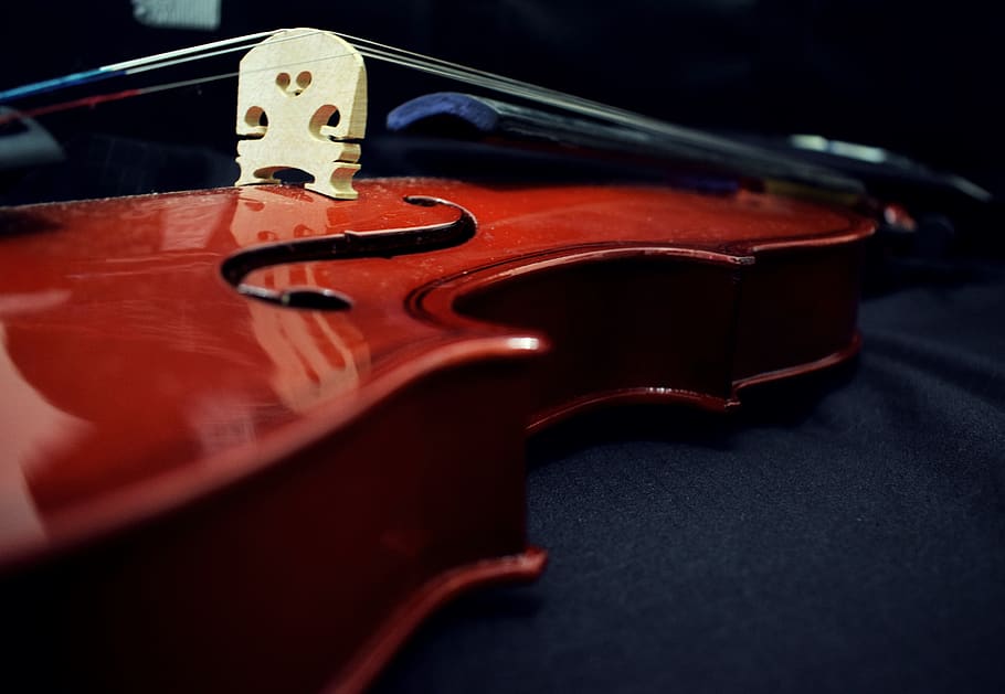 violino