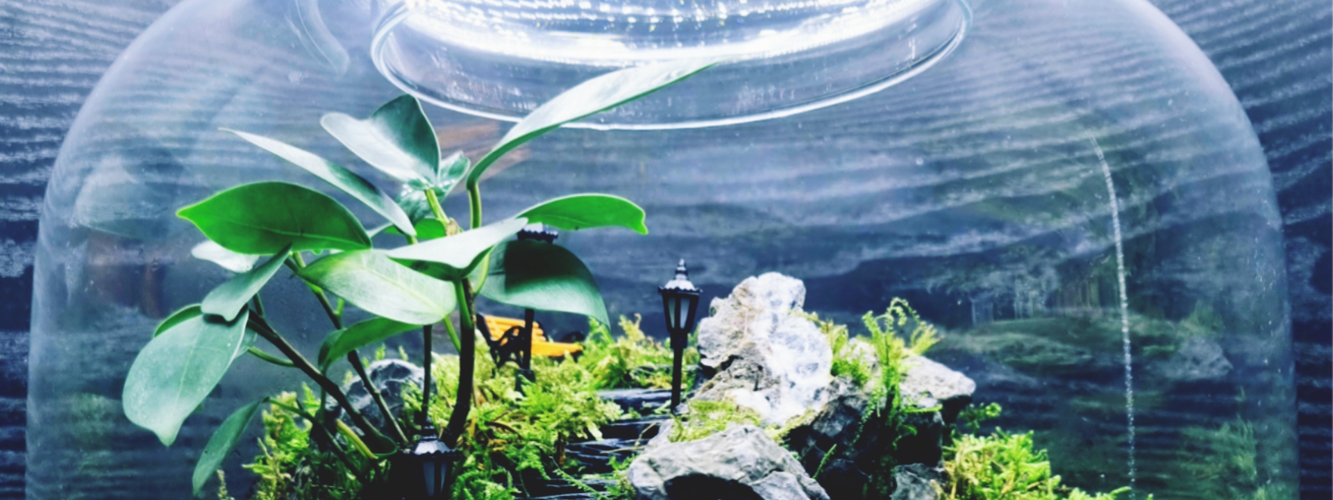 Growing art