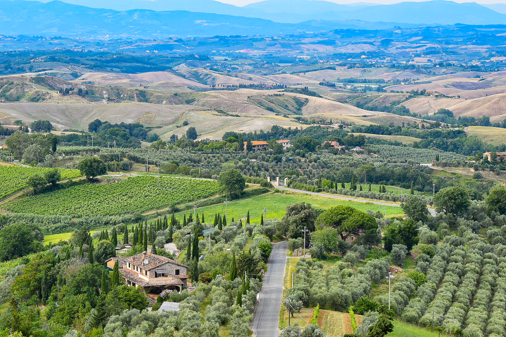 Merenda nell'Oliveta a Montaione