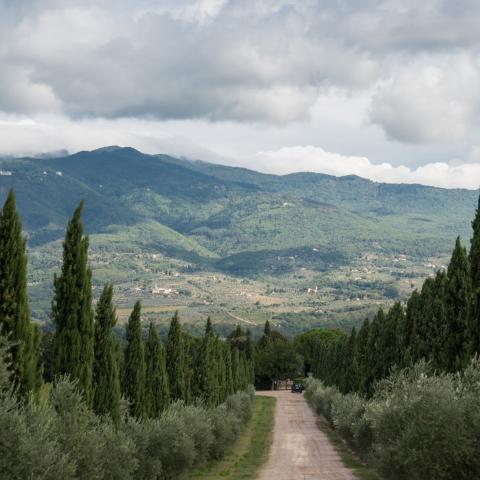  Paesaggio Grande Firenze