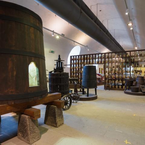 Museo della Vite e del Vino Rufina