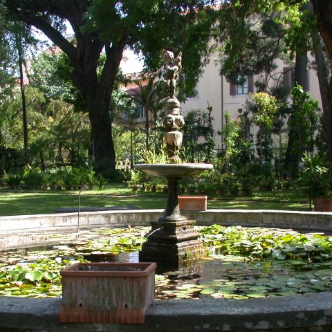 Museo di Storia Naturale dell'Università di Firenze - Orto Botanico, Giardino dei Semplici