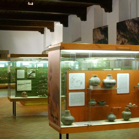 Museo e Istituto Fiorentino di Preistoria