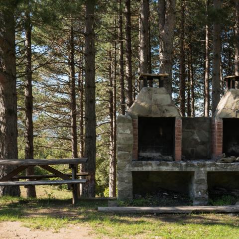 Parco Nazionale delle Foreste Casentinesi, Monte Falterona e Campigna