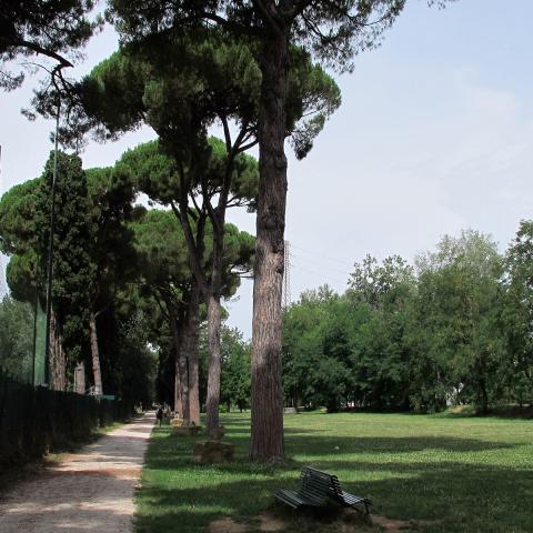 Parco dell'Anconella