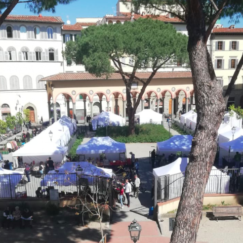 Fumetti e dischi in Piazza dei Ciompi 