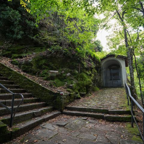 Circuito delle Cappelle di Vallombrosa 