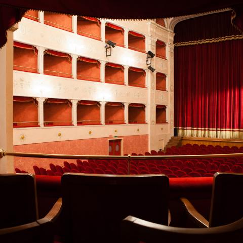 La Sala Grande vista da un palco