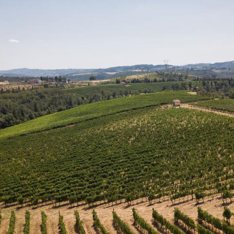 Le colline di Lastra a Signa