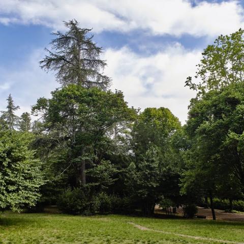 Parco di Villa Strozzi al Boschetto