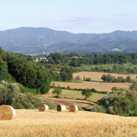 Il Mugello