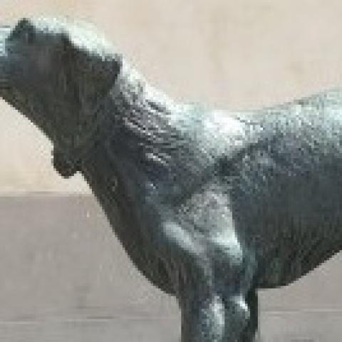 Monumento al Cane Fido - Borgo San Lorenzo