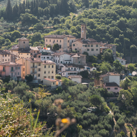 Panorama di Pelago