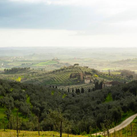 paesaggio vinci