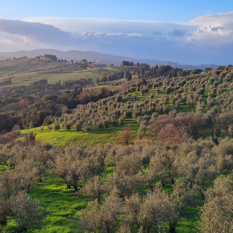 Impruneta veduta della campagna - Foto Comune di Impruneta