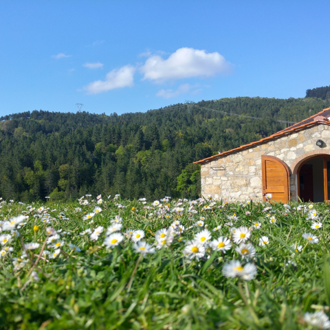 Il Memoriale di Valibona ph Associazione I Birboni