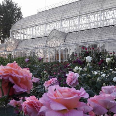 News Mostra mercato di piante e fiori autunnale all'Orticoltura 