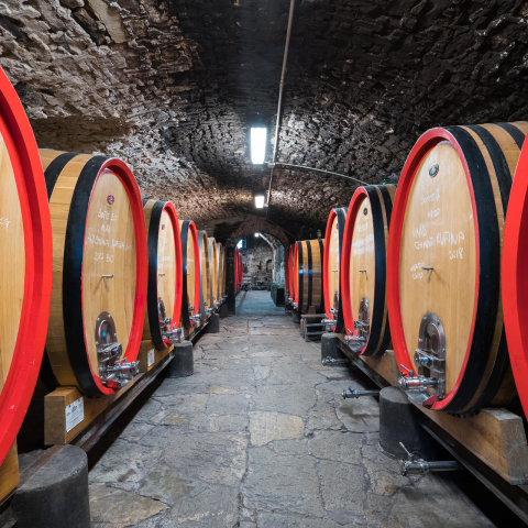 Cantina Chianti Rufina