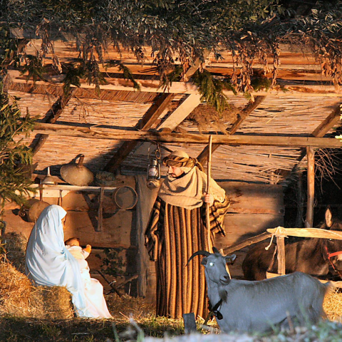 Presepe vivente - La Capanna