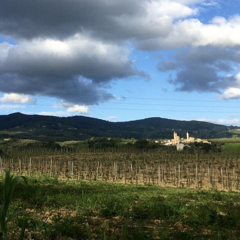 Vista di Vinci da La Via di Caterina